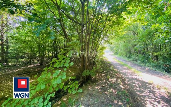 Grunt budowlany jednorodzinny na  sprzedaż Sosnowiec - Klimatyczna działka przy lesie Kazimierz Górniczy